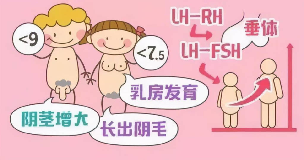 女孩关注乳房的增大,有无乳核硬结,男孩关注睾丸的变化,有无阴茎的