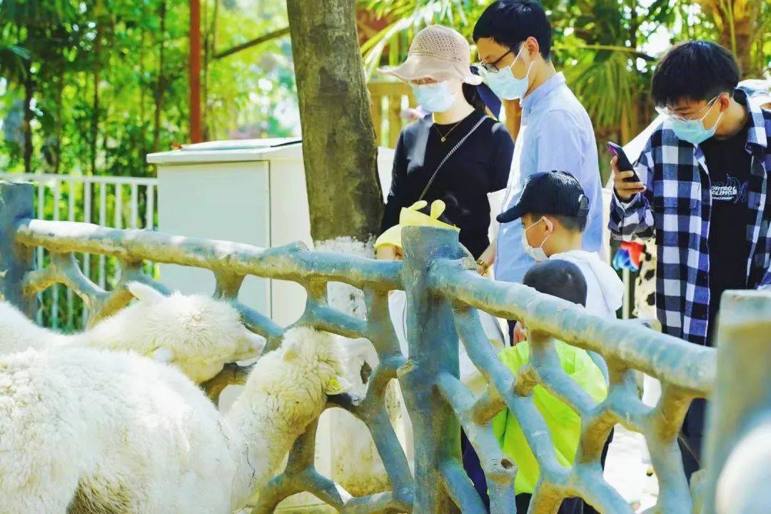 15來武漢九峰森林動物園裡尋找藏匿在角落裡的