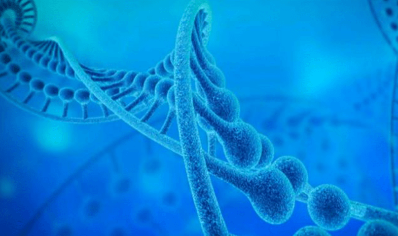 【遗传病】遗传病有哪些_遗传病的预防措施