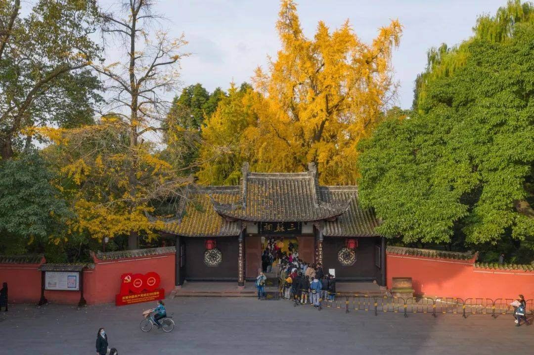 图片|四川眉山三苏祠,初冬,两棵600年古银杏树披上金甲 图虫创意