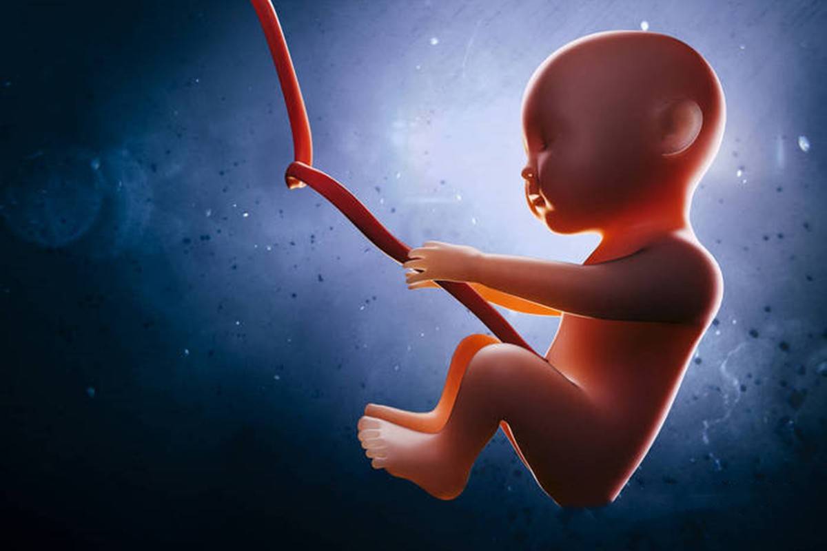 怀孕5个月胎儿图男孩图片