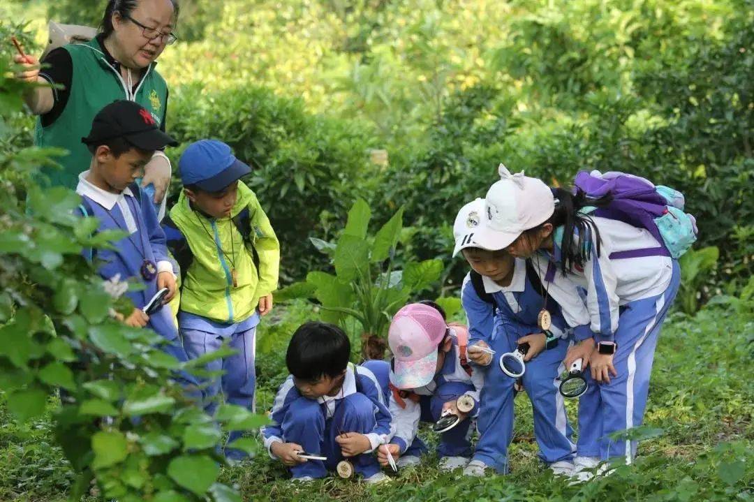 深圳华侨城国家湿地公园荣获"湿地学校建设示范奖"_进行_教育_自然