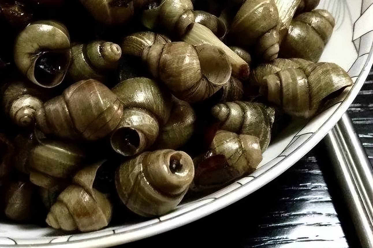 寻味南太湖清明螺赛肥鹅这口春天滋味需要你嗍出来