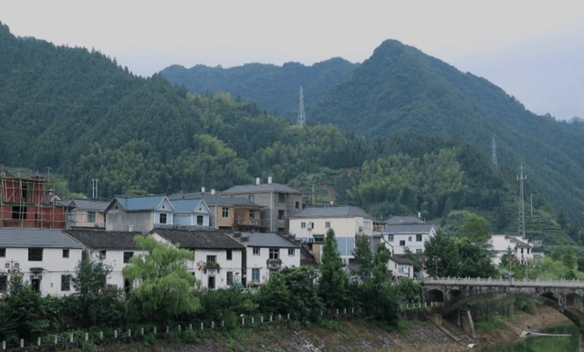 浙江有一个小镇，森林覆盖率已超九成，还被誉为“华东绿肺”