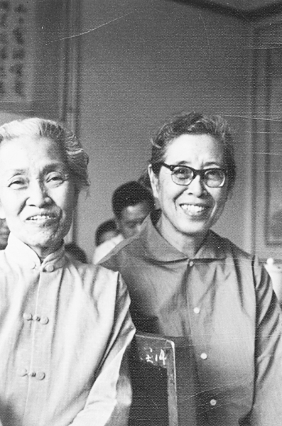 4毫克叶酸,守卫中国母婴健康_严仁_王光超_林巧稚