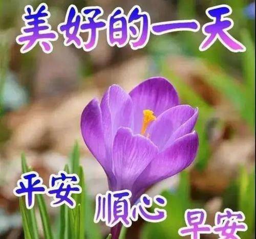 原創清晨早安表情問候祝福圖片帶字群發溫馨的早安祝福語大全