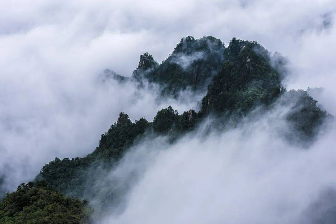 春日绝美云海奇观图片