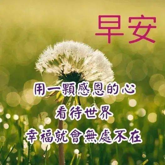 原創4月18日星期一早上好問候語圖片週一最新早安問候祝福帶字圖片