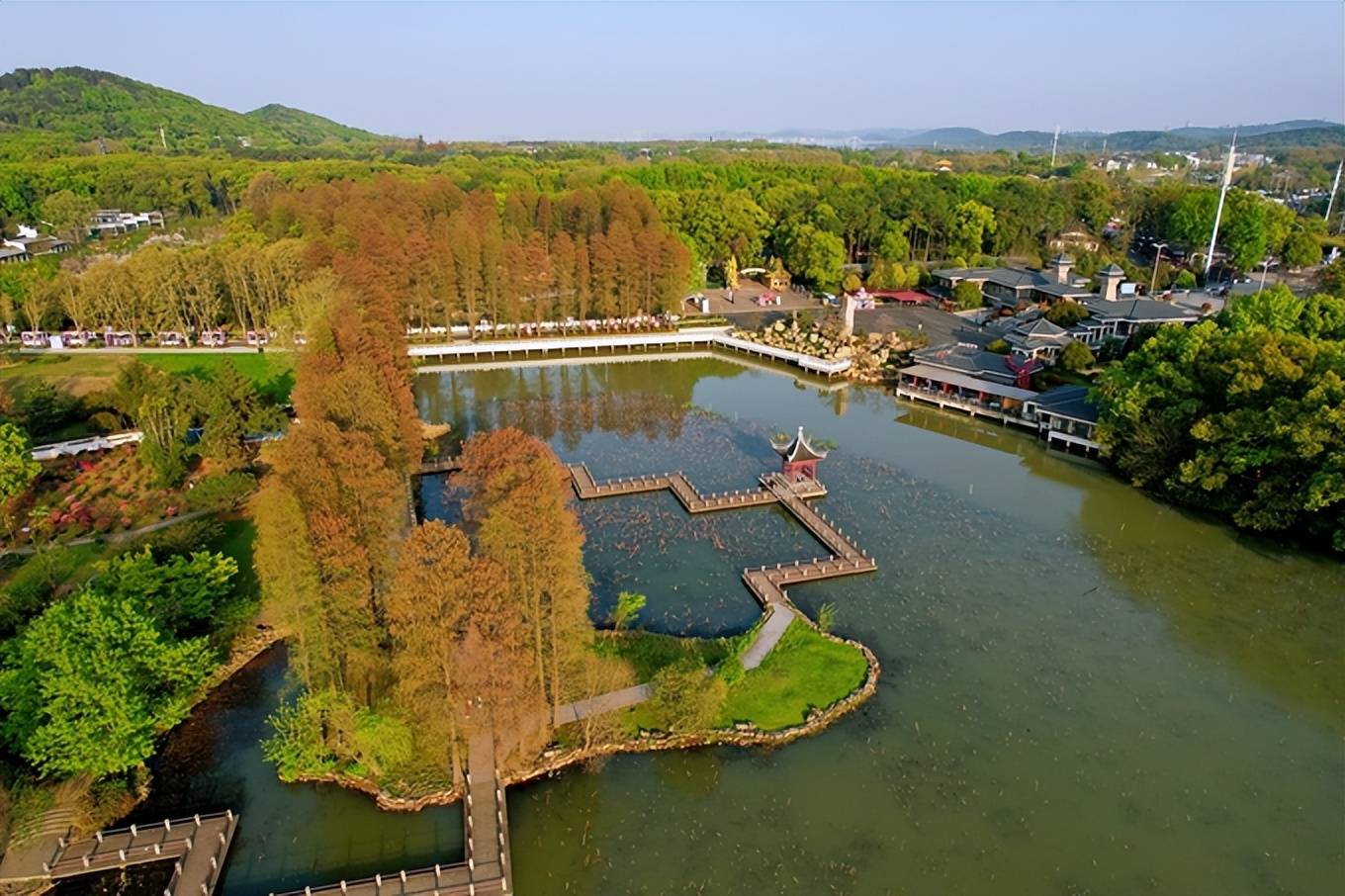 原创航拍武汉东湖磨山看晚樱盛开今年最后的云赏樱错过再等一年