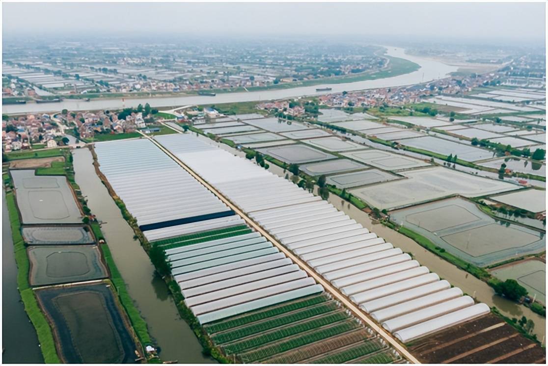 南京高淳区砖墙镇：“沉睡”土地焕生机 水果丰收促效益