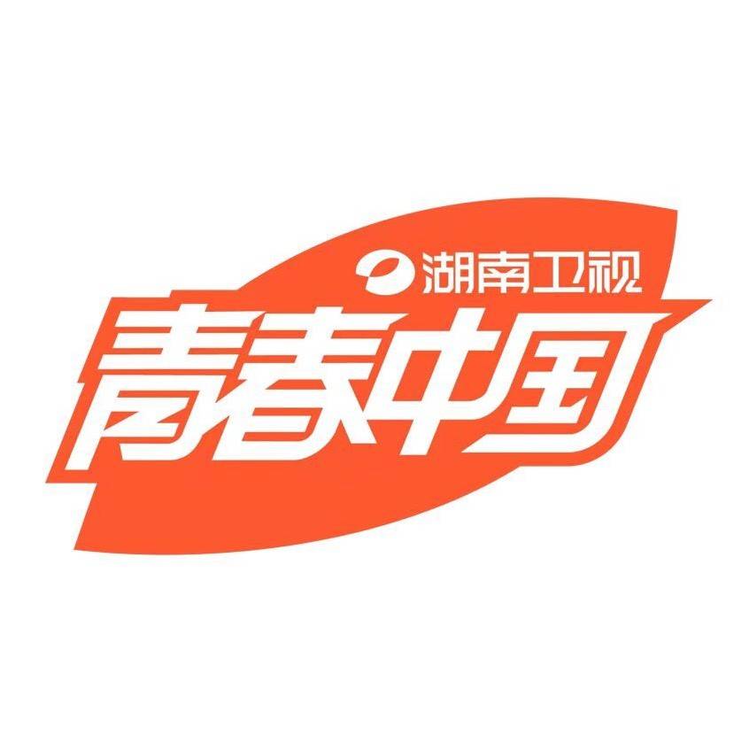 湖南卫视logo设计理念图片