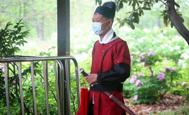 洛阳一株牡丹走红,5名"带刀护卫"轮流守护,游客只能看30秒_时间_秩序