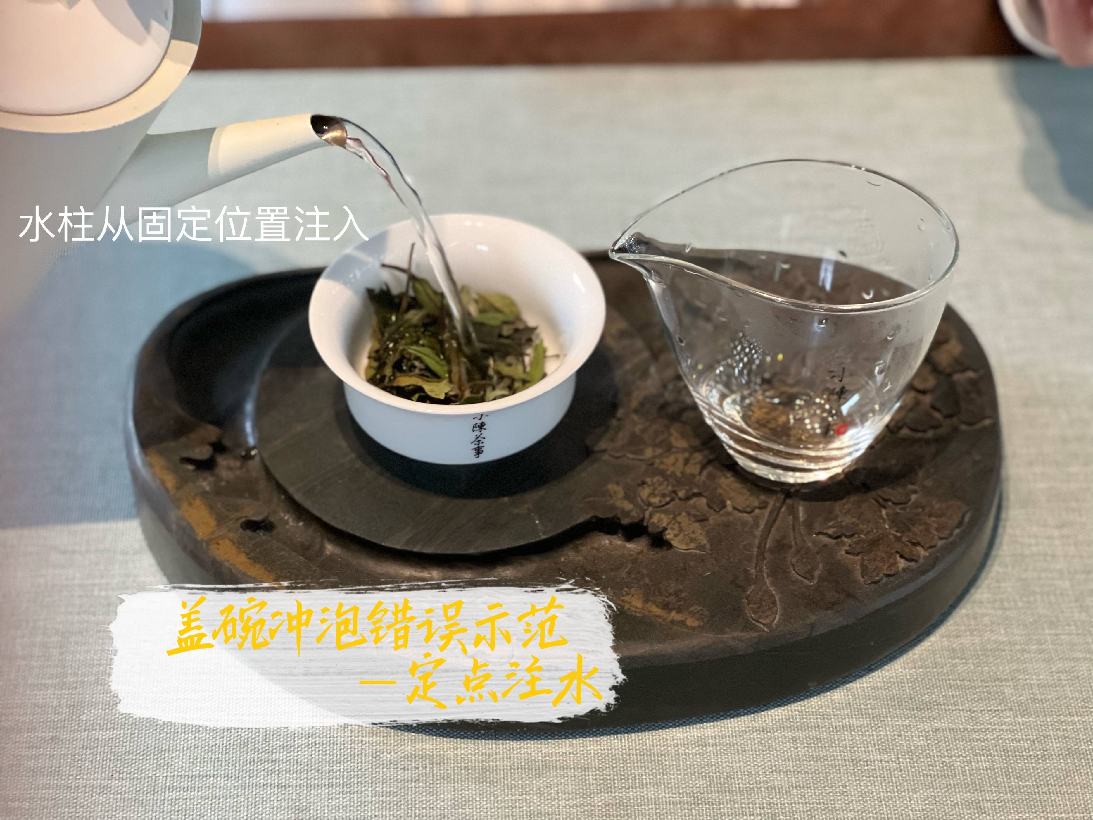 蓋碗泡茶時關於注水的4個大坑看完真相一個比一個離譜