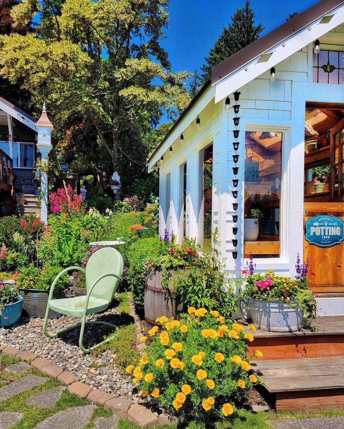 向往的田园生活一座小院鲜花爬满篱笆狗追猫儿跑