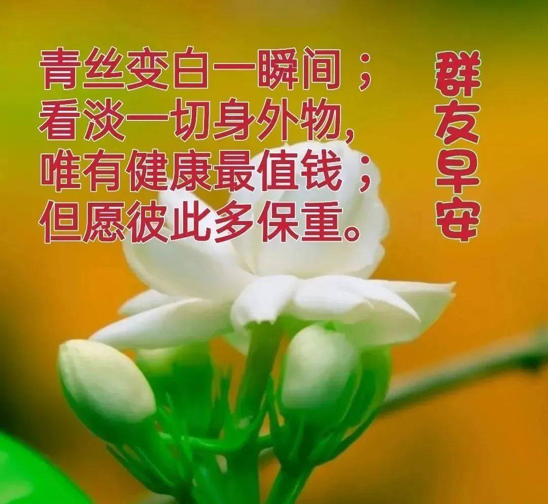 4月日早安精美问候图片短信祝福语最美早上好问候语录祝福图片 朋友 开心 安康