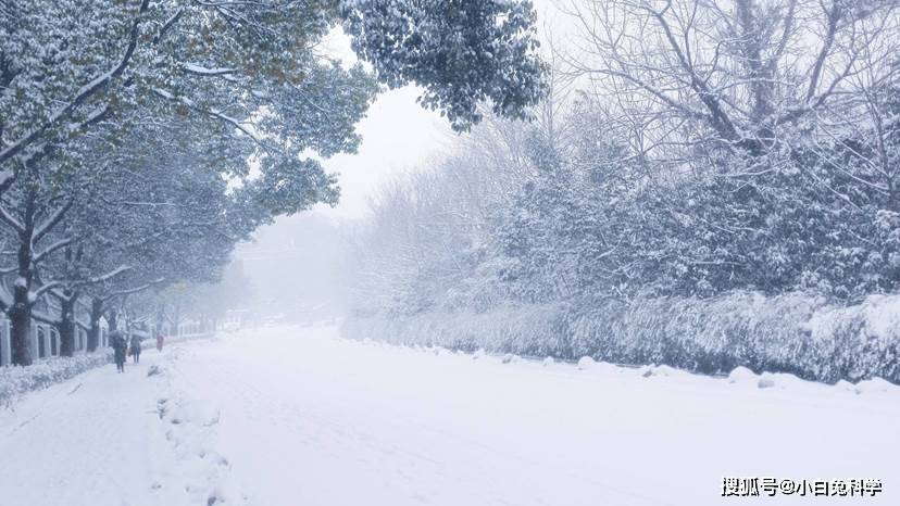 春下心頭雪上眉頭湖北四月大雪紛飛氣象學家稱寒流將席捲全國