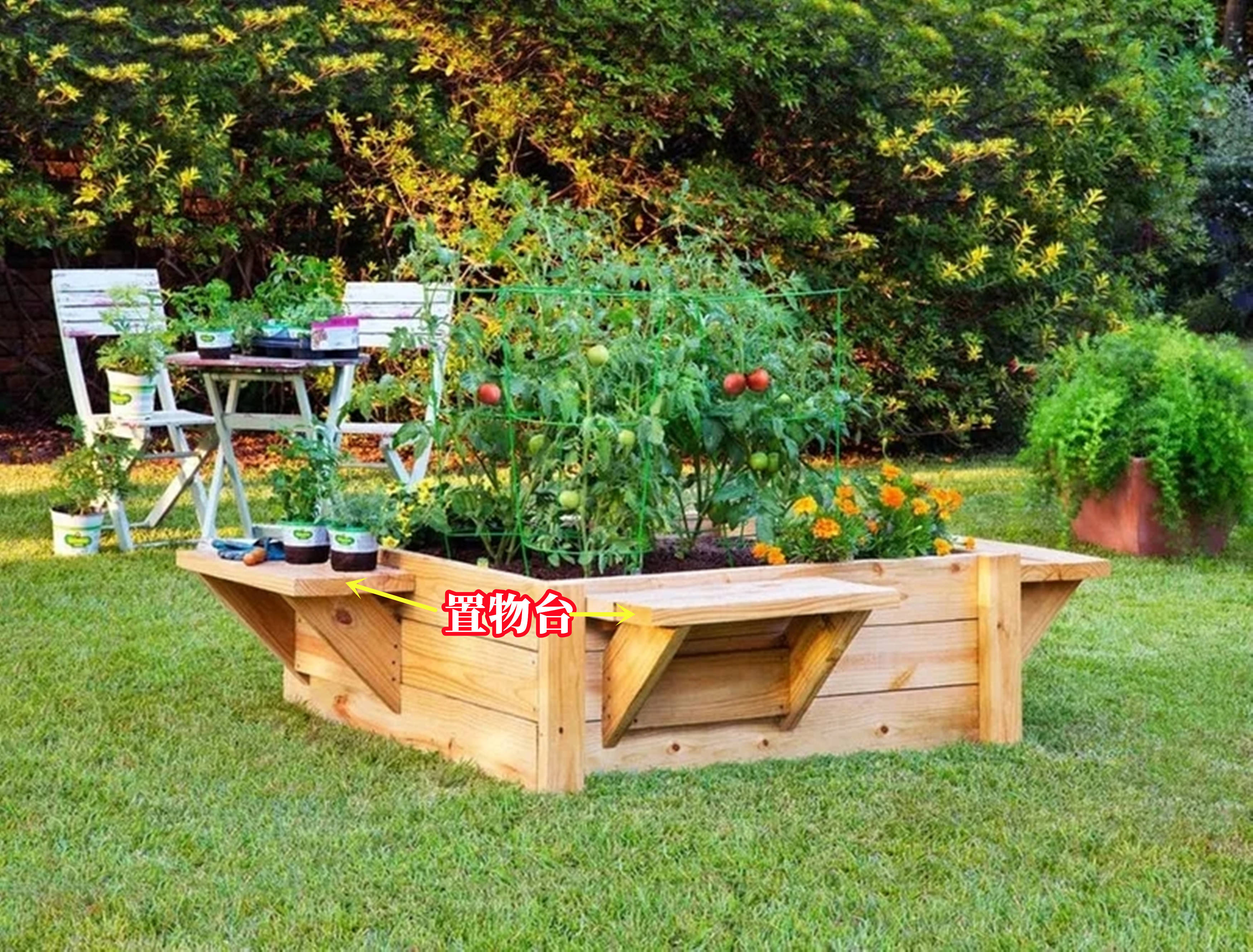 要是有个院子就好了地面插一圈木板围个小菜园忙前忙后也乐意