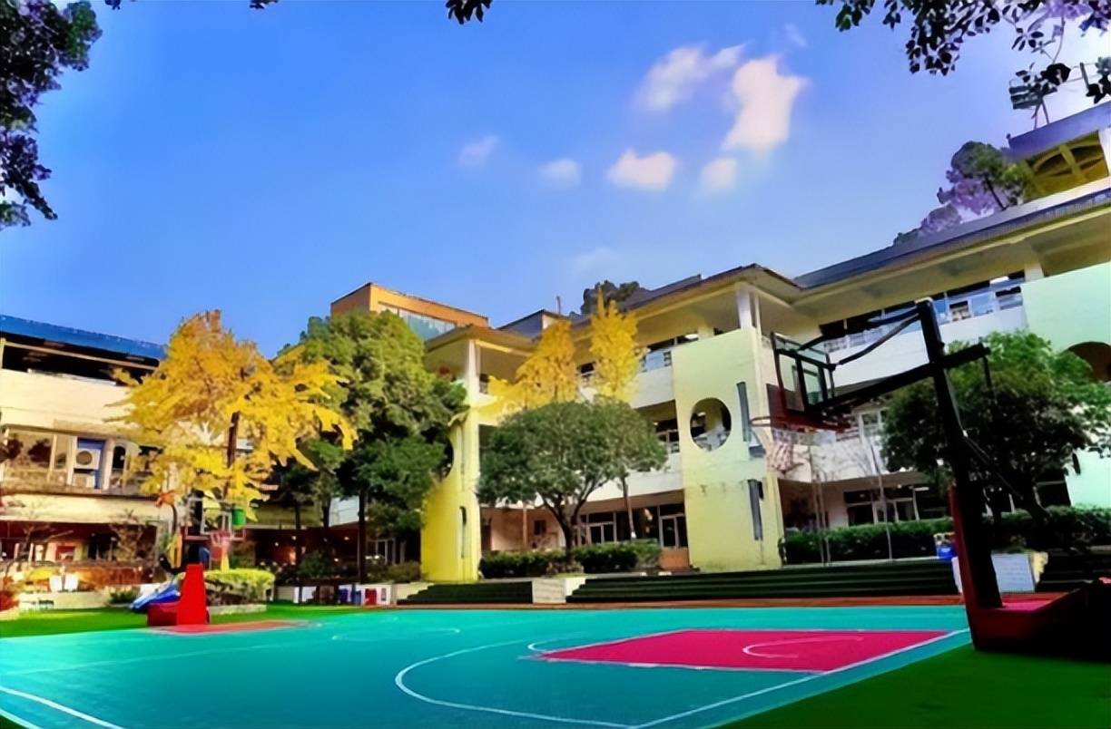 树基城花幼儿园2022年秋季招生工作开始啦