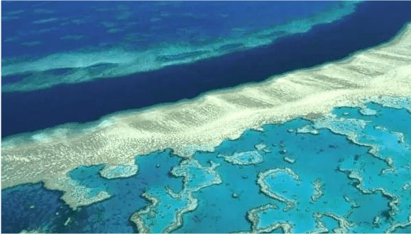 原创为什么南海的岛礁绝大多数呈现的都是环形的