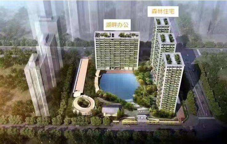 捂盘高发地宝中新盘最新动态入市时间均不明