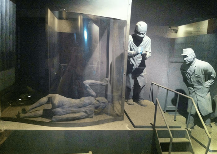 日本731部队有多残忍图片