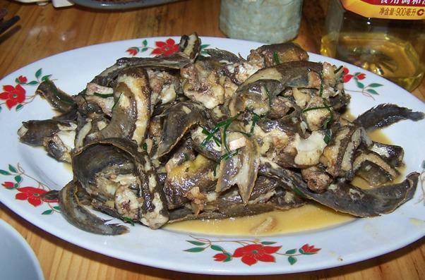 原创刀鳅鱼泛滥广东河道有人钓起大量刀鳅网友这鱼40一斤