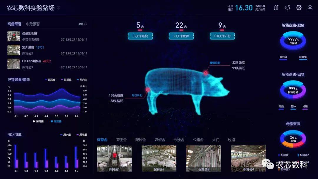 智慧猪场实时监管系统猪小智—监管平台猪小智监管平台实现猪场数据