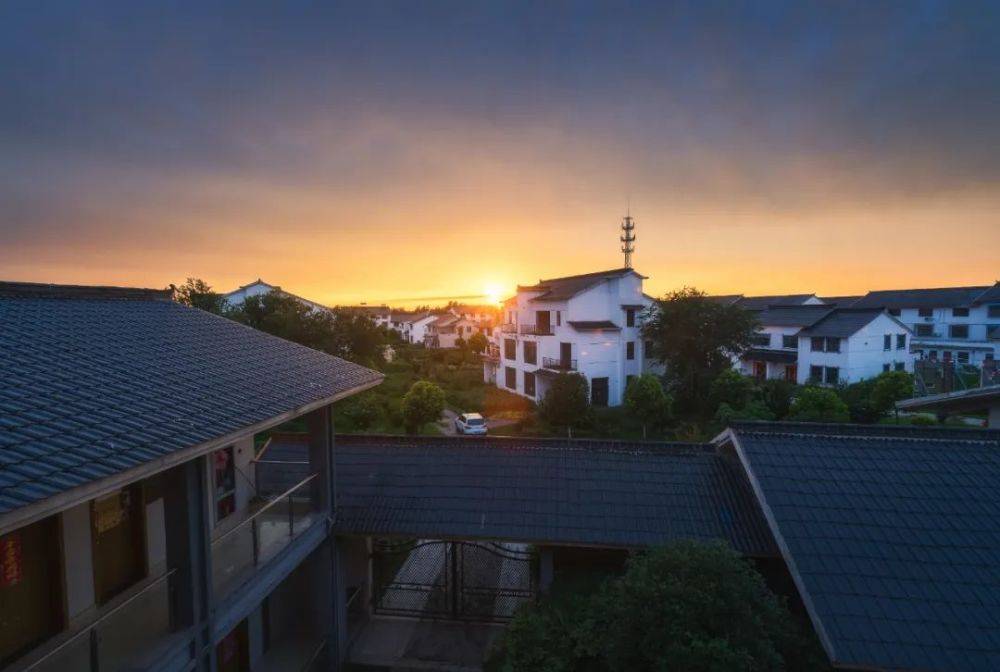 泸州泸县一建筑老板修建别墅违占上万平方米_房屋_住宅_潮河镇