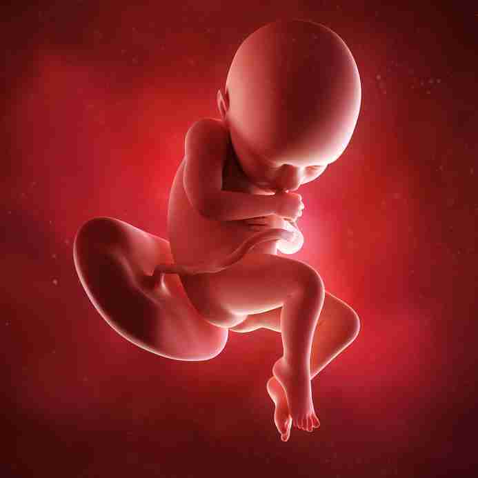 怀孕28周之后,胎儿的2型肺泡细胞开始发育,到怀孕30周～35之后开始