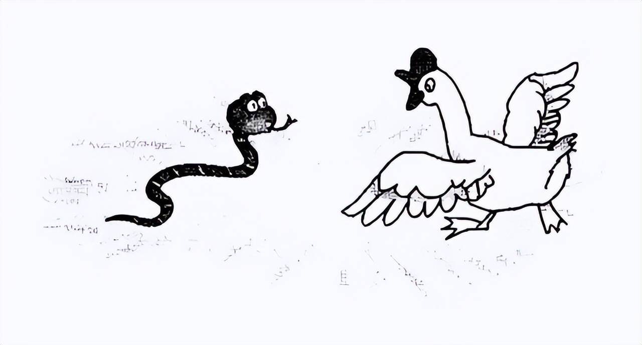 蛇为什么会怕鹅难道鹅的粪便中真有雄黄蛇我是单纯的怕