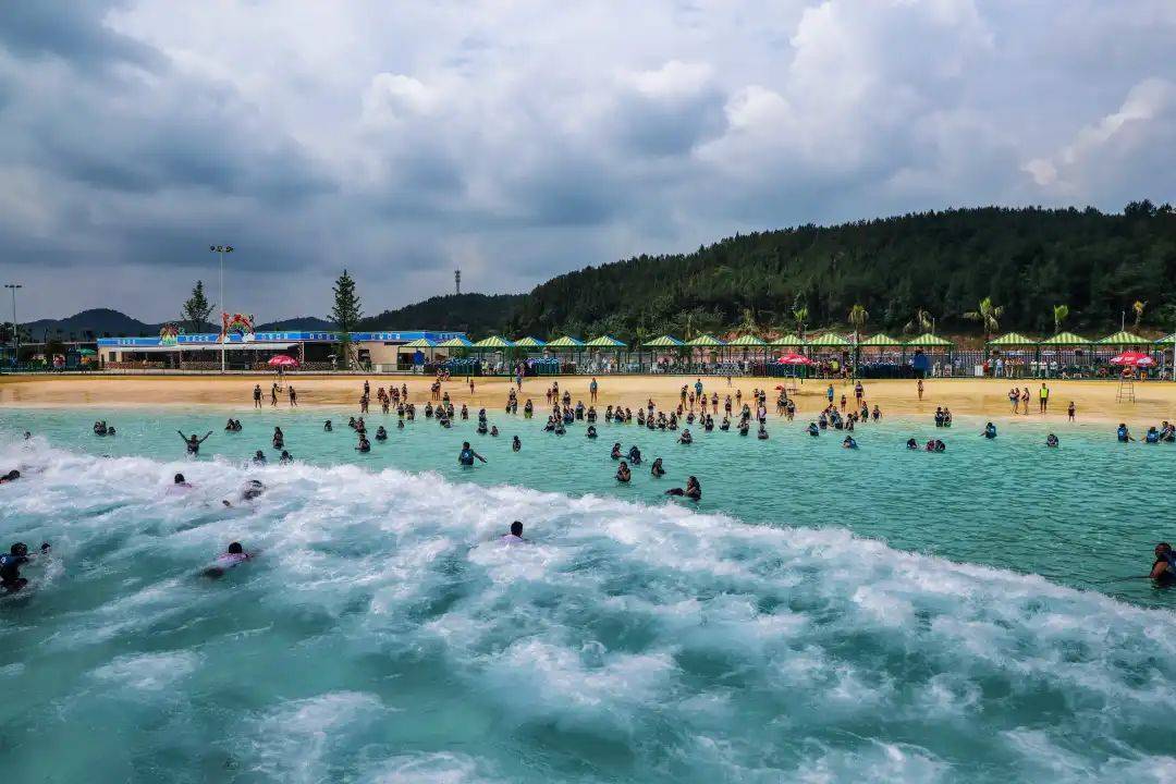 实拍图康养螺湖天养湿地公园,紫珠果园,林海牧场,荷