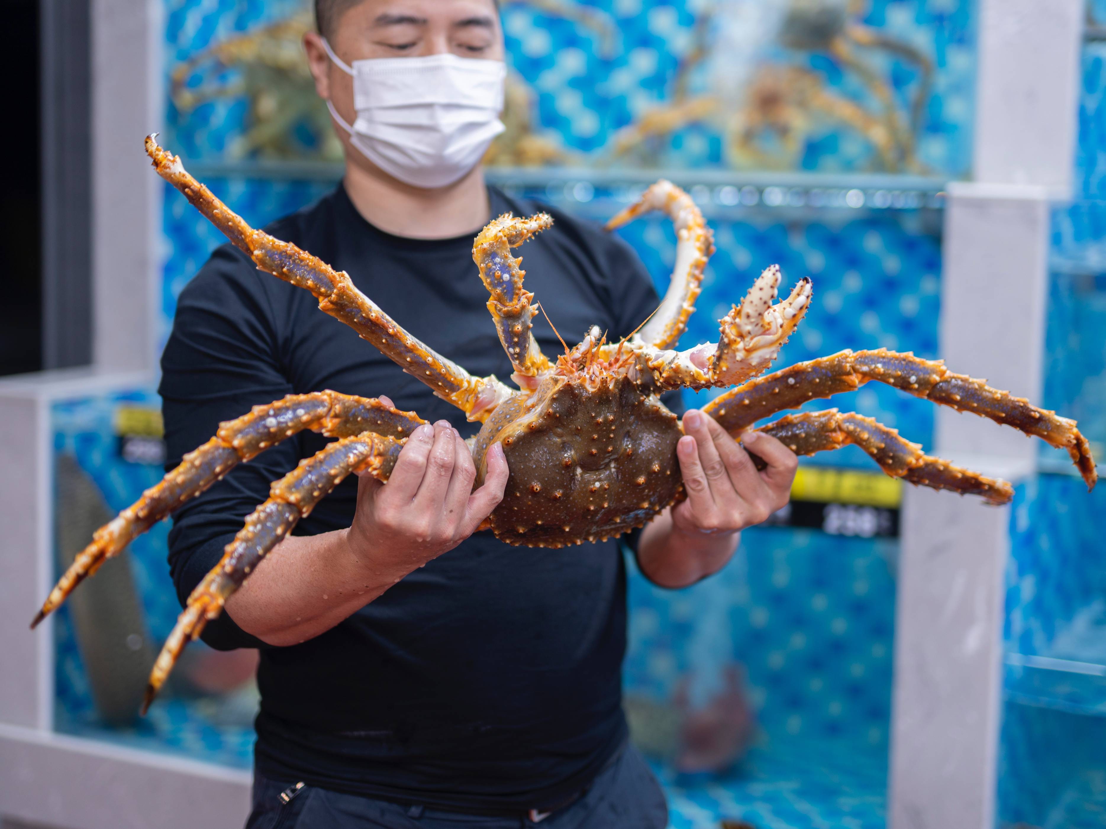 海鲜种类有哪些图片