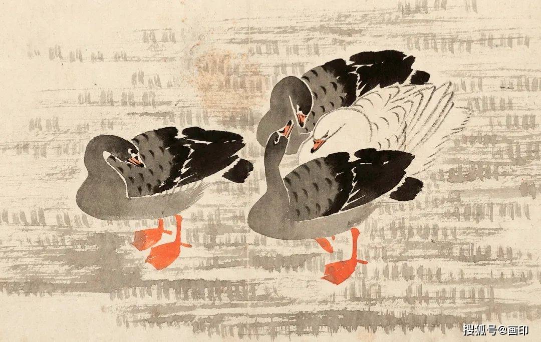 清边寿民芦雁图册十开