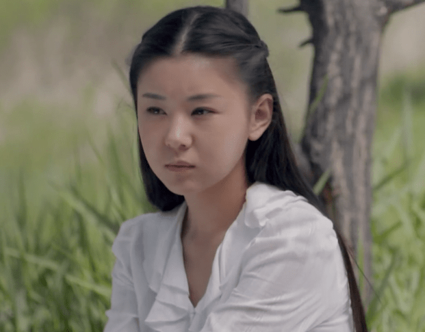 网文作者和作家之间,就差一个《平凡的世界》里的田晓霞