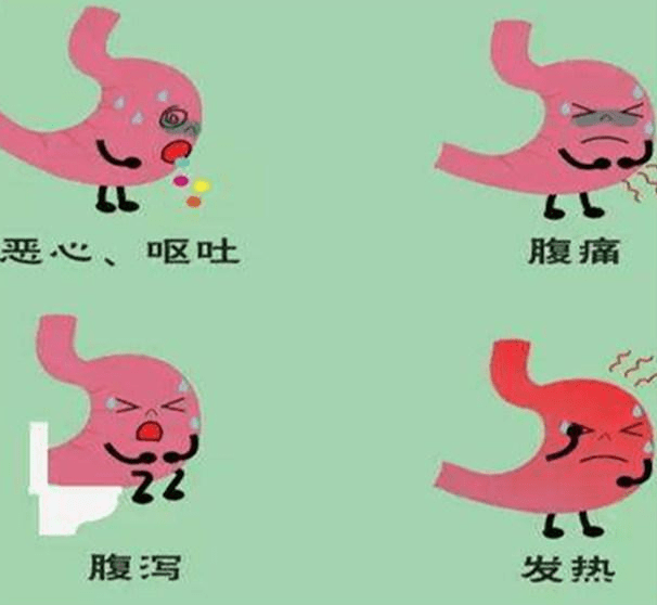 急性肠胃炎什么症状图片