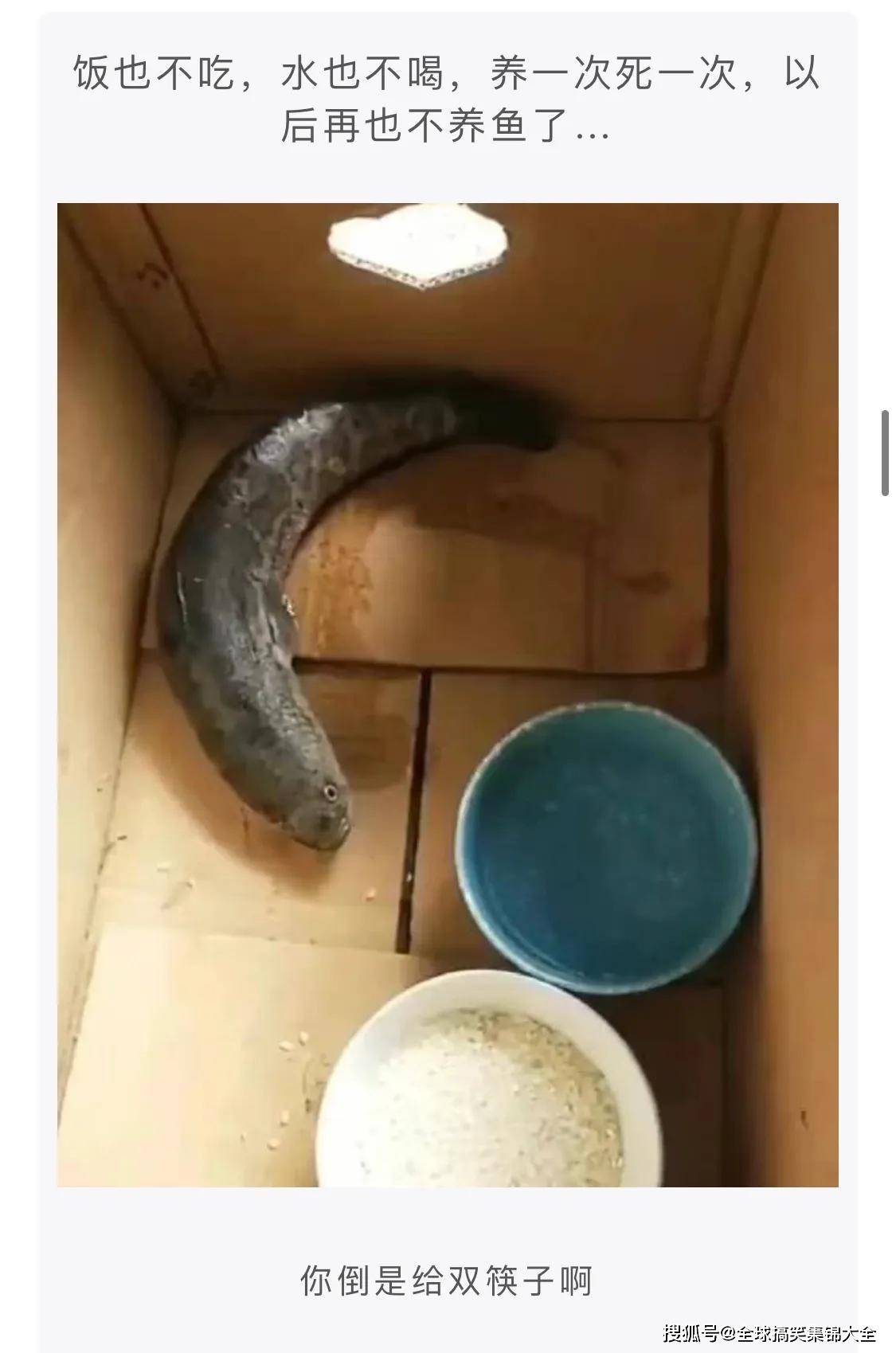 神评段子合集:好朋友和他女朋友分手之后,找我的次数明显变多了_水也