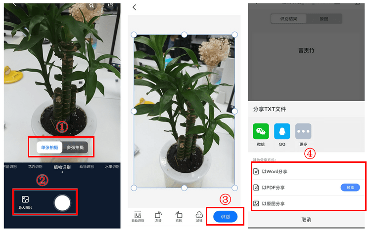 分享几个扫描植物识别软件app只需扫一下就可以知道是什么植物