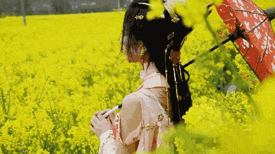 400_224gif 动态图 动图