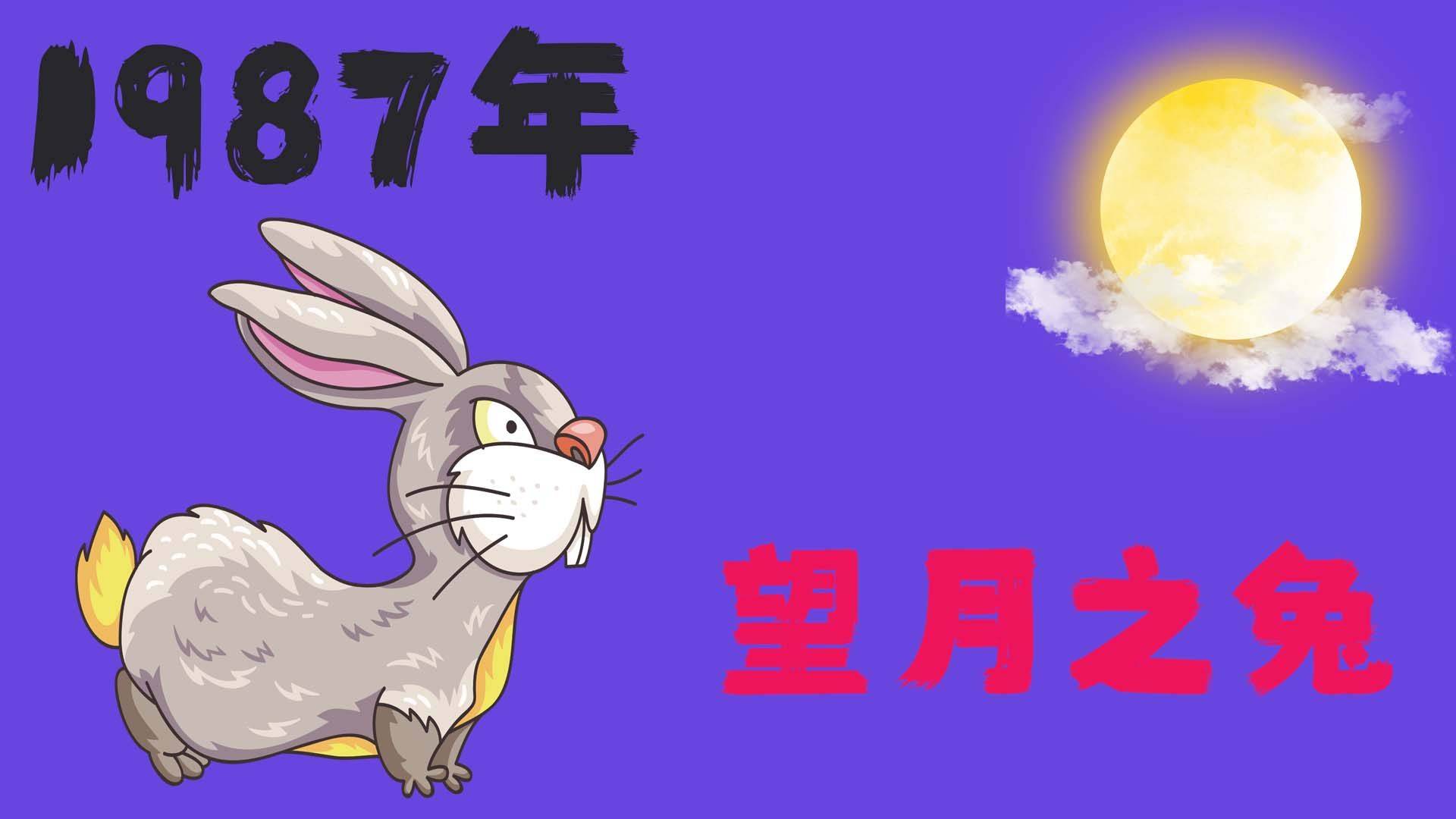 1987年叫做望月之兔他们性格有何缺陷视频给你分析