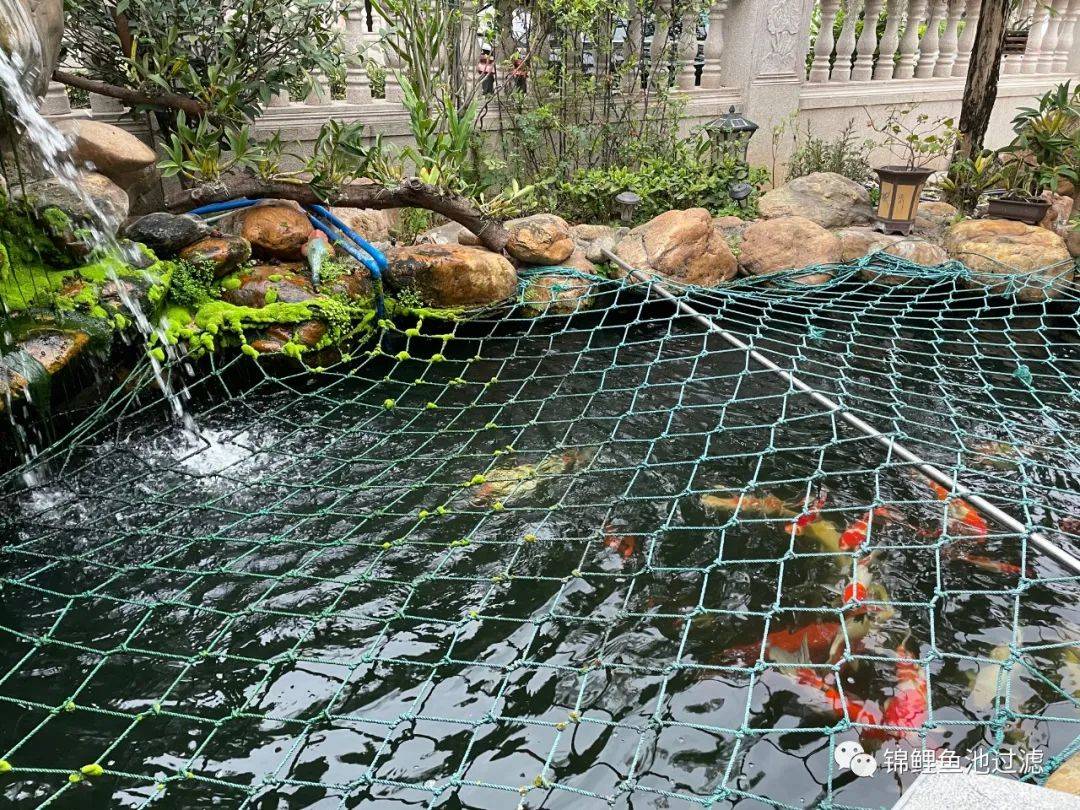 案例分享|| 私家别墅花园锦鲤鱼池过滤系统升级改造工程_设备_孩子