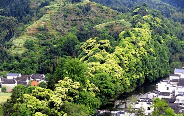 安徽有一座小村镇，坐落在群山之中，好似世外桃源，适合去自驾游