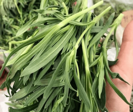 面条阔野菜吃法大全图片