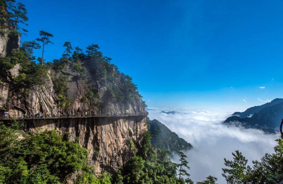 初夏撩人,臨安旅遊攻略,穿越喧囂,車流,扎進臨安的溫柔鄉_森林_景區