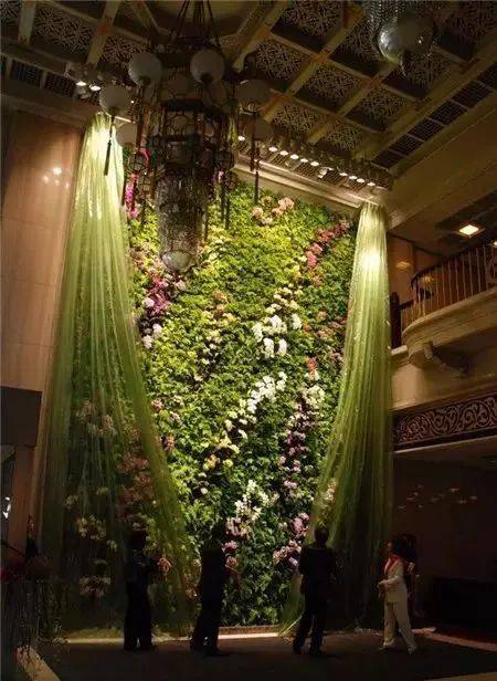 【行业心得】酒店植物墙的作用