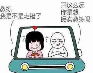 搞笑段子_驾校教练的经典语录