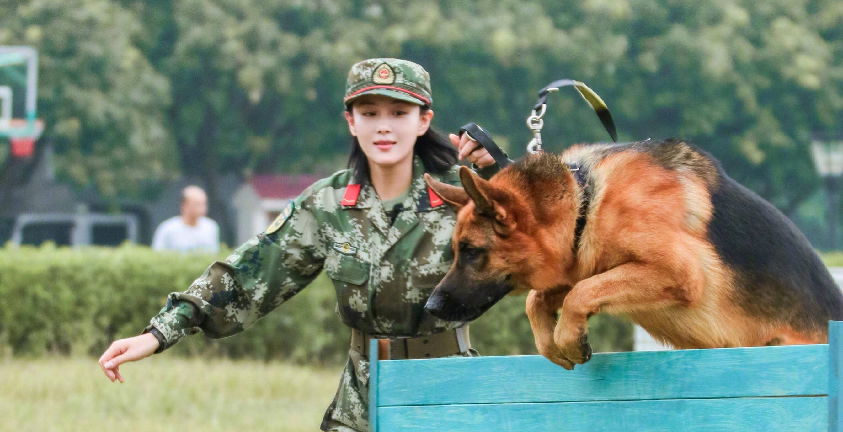 原創嫁人即翻身的張馨予比她小1歲的老公何捷到底有多牛