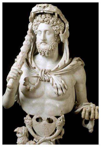 罗马的角斗士皇帝,亲手格杀百余头猛兽,千年后被好