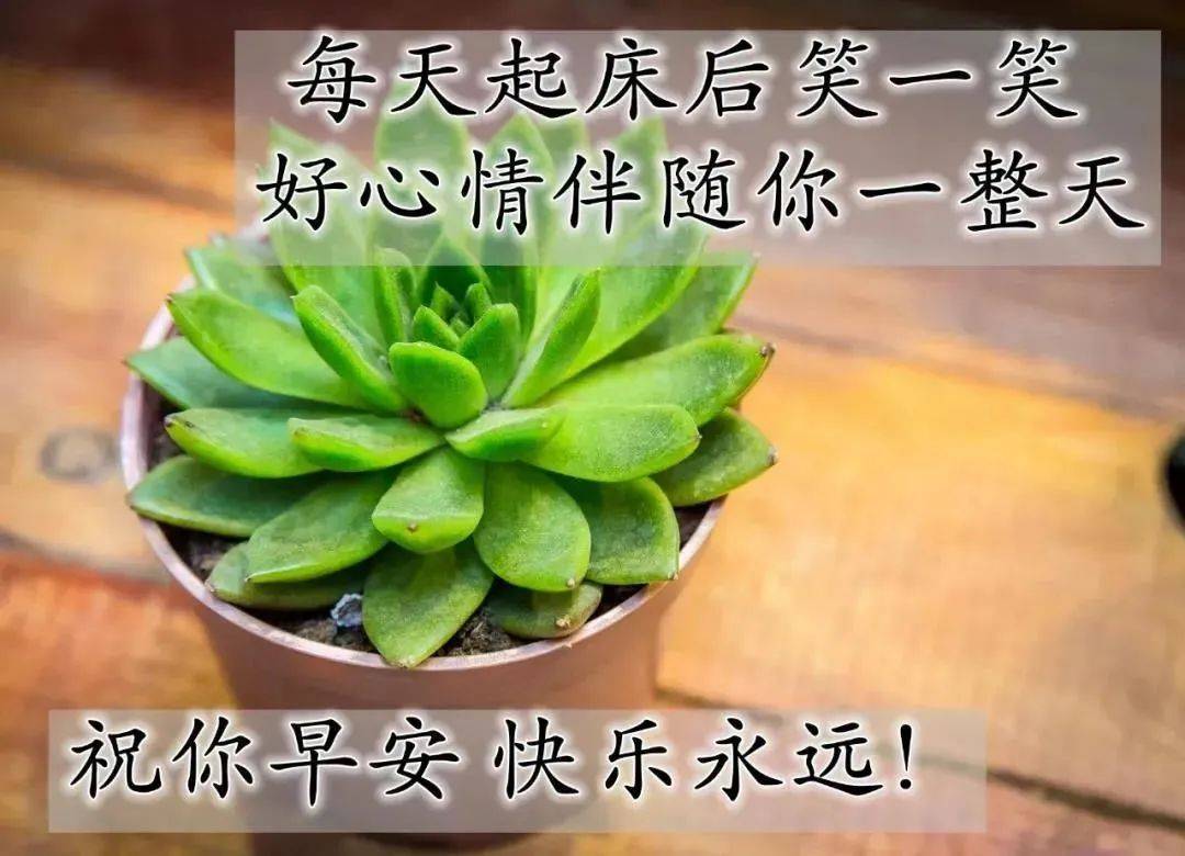 原创8张清新简约早上好图片带祝福语好看的朋友圈早上好问候祝福语