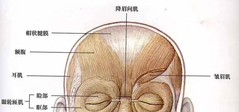 原創全智賢20歲到39歲的眼神變化