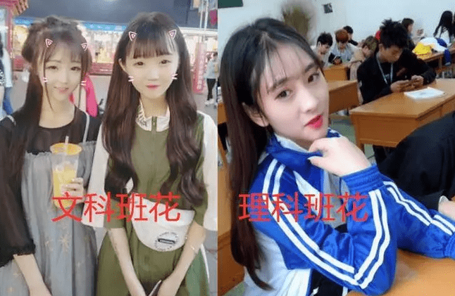 原创文科和理科班花对比图火了形象风格差距明显谁更得你心